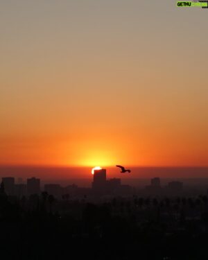 Tom Scott Instagram - Another of those LA sunsets.
