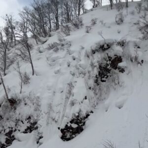 Tom Wallisch Instagram - Amazing trip to Japan with @lineskis this past season! See all the footage in ‘Tokujo Buta’ out now on Line’s YouTube. Link in BIO. Photos by @steve_reed