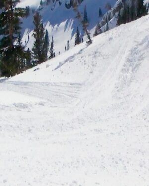 Tom Wallisch Instagram - Haters will say we’re using camera tricks and this is really a park at a resort.
v\ @jakestrassman 

See why it’s not. ‘Rail Tail’ live now. 
#LINEbacon • #LINEskis #SKIandDESTROY