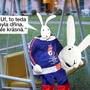 Tomáš Břínek Instagram - I Maskoti si zaslouží 👏🏻 #tmbk