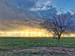 Tomer Sisley Instagram - #THISISAMERICA
Tournage en fin de journée, juste avant un orage gigantesque. La photo est légèrement saturée mais c’est bien ce qu’il y avait devant nous... on en revenait pas!!! #NewMexico