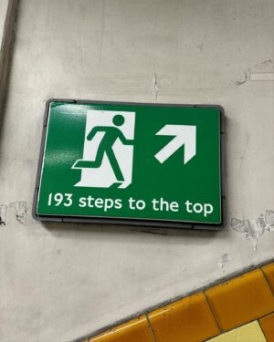 Tommaso Stanzani Instagram - 193 steps to the top