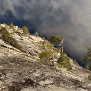Tommy Caldwell Instagram - @alexhonnold and I spent the last three days in our favorite place, climbing a impressively stout route established @mason_earle and @bradgobright years ago. 31 pitches of hard slab, 5.10 bushwhacking, pumpy 5.13 and even a 9 foot down dyno. Alex is so impressive and fun climb with up there. He pretty much hiked everything while I struggled to keep up.

I was a bit sad to feel like I have slipped from my peak form up there. And it took my loving wife @beccajcaldwell to remind me that I am still coming back from a big injury. In the end I didn’t quite send. Of course Alex did. This would have bothered me more in the past. Maybe I’m getting wiser, or maybe loosing my edge a little. Either way it’s easy to see this as just a good time with a great friend climbing our favorite wall.