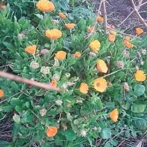 Toprak Sergen Instagram - Böyleyken böyle işte 🍀🍀🍀🍀