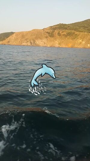 Toprak Sergen Instagram - Denizde olmanın dayanılmaz hafifliği 🐬@kyhncokal
