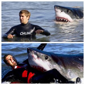 Tory Belleci Instagram - Did someone say Shark Week?! #sharkweek #shark