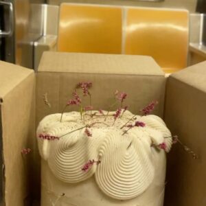 Tory Trowbridge Instagram - Chai spiced cake with coconut custard guts and a spiced buttercream frosting with lurves and a nyc deer on the side