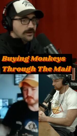 Trae Crowder Instagram - Did yall know that comic books used to advertise MONKEYS THAT YOU COULD BUY THROUGH THE MAIL???
.
.
.
.
.
Full episodes of The WellRED podcast available wherever you get yours!
#comedy #podcast #podcastclips #animals #monkeys #comicbooks
