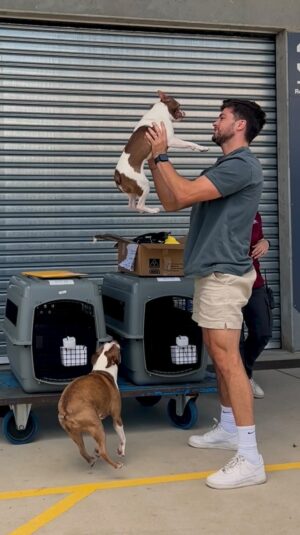 Travis Burns Instagram - 10 months preparation, 3 months without seeing them, 14 hour flight from LA to Melbourne, 10 days quarantine and a 16 hour drive home to Em and Parker. Our boys finally made it to their new home in Australia.