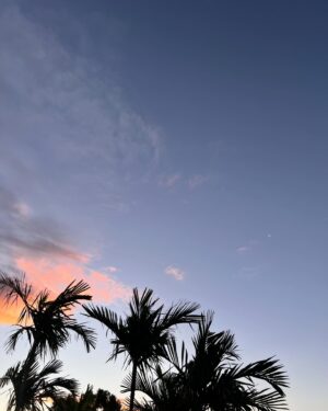 Travis Burns Instagram - Island vibes.