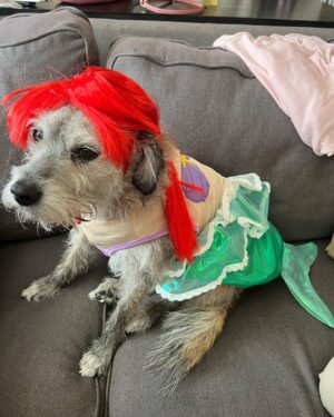 Travis McElroy Instagram - Proof! Mermaids are real!!!