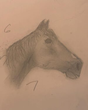 Travis McElroy Instagram - I got distracted doing math and I drew a horse