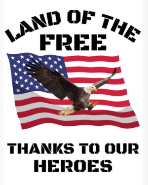 Travis Tritt Instagram - Memorial Day was established to honor and mourn American military members who died while serving. So many barbecues, picnics and celebrations will take place this Memorial Day weekend, but I hope that we all take some time to remember why this holiday exists. So thankful for our military members and their families who gave all for our country. 🇺🇸
