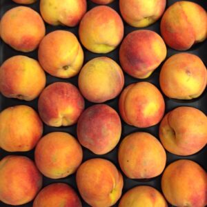 Trey Gowdy Instagram - Our Washington office is very excited today! Our annual shipment of @certifiedsc peaches fresh from @titanfarms has arrived.