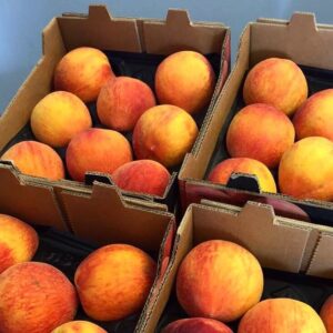 Trey Gowdy Instagram - Thanks to @titanfarms, everything is just peachy today in our DC office #titanfarms #SCpeaches 🍑
