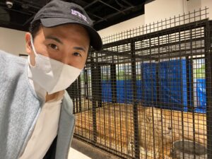 Tsukasa Saitô Instagram - 福岡の催事場にとんでもない動物園あった。
とかげやライオンやヘビがとにかく近くにいた。
スリルやばい笑
1500円でこのコスパはやばい！