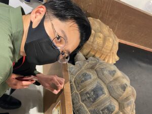Tsukasa Saitô Instagram - 福岡の催事場にとんでもない動物園あった。
とかげやライオンやヘビがとにかく近くにいた。
スリルやばい笑
1500円でこのコスパはやばい！