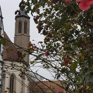 Tuba Erdem Instagram - Germany Rothenburg😍 Mutlaka gidilip görülmesi gereken yerlerden biri. Harry Potter filminin bazı sahneleri burada çekilmiş. Kendinizi bir anda  Ortaçağ da bulabilirsiniz.☺
#germany🇩🇪 #rothenburg
#turne
#istanbulmeydansahnesi
