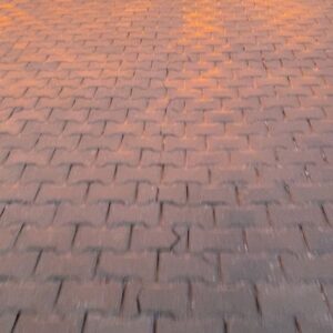 Tuğba Daştan Instagram - Saat sabah 05:25 ..
Telefondan kafamı kaldırdım ve havanın rengine haline tavrına hayran kaldım🙊heyecanla annemin terlikleriyle attım kendimi sokağa ..üstelik yağmur ve gökkuşağı da vardı🫠ve ve ve ve kokusunu hiç anlatamam🤭
Kaydırmalısınız🙏