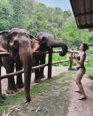 Tuğçe Kurşunoğlu Instagram - Tayland’ın büyülü atmosferinde geçirdiğim bir gün, hayatımdaki en enteresan günlerden biriydi! Fillerle dolu bir maceraya atıldım ve inanılmaz deneyimler yaşadım. Sabah erken saatlerde başlayan maceramız, bamboo rafting ile başladı. Sessiz ve sakin bir nehri boyunca bambu sal üzerinde süzülürken, etrafımdaki doğal güzelliklere hayran kaldım. Nehirde akan serin su, beni rahatlattı ve doğanın şarkısını dinlemek için fırsat verdi.
Ardından, fillerle tanışma vakti geldi. Onları beslemek için yanlarına gittik ve büyüleyici yaratıklarla yakından etkileşimde bulunduk. Elini uzattığımda, filin sıcak ve kaba cildini hissettim ve gözleriyle bana minnettar bir şekilde baktığını hissettim. Bu an, insan ve hayvan arasındaki özel bir bağın doğmasına tanıklık ettim.
Daha sonra, fillerle beraber çamur banyosu yaptık. Onları çamur havuzuna davet ettik ve birlikte eğlenceli bir çamur savaşı yaptık. Çamurun serinletici etkisiyle hem fil hem de ben rahatladık ve birbirimize gülerek dolu dolu vakit geçirdik. Ardından, gölde bir duş alıp  ormanda yürüyüşe çıktık.
Ormanda yürüyüş yaparken, doğanın kalbini hissettim. Kuş sesleri, yaprakların hışırtısı ve rüzgarın dokunuşuyla huzur dolu bir yolculuğa çıktım. Yüksek ağaçların arasında kayboldum ve Tayland’ın doğal güzelliklerini doyasıya yaşadım.
Bu unutulmaz gün, hayatımda iz bırakan anılarla doluydu. Fillerle olan bu yakın etkileşim, doğanın gücünü ve hayvanlarla olan bağımızı anlamama yardımcı oldu. Eğlenceli çamur savaşları ve ormanda yapılan yürüyüş, beni doğa ile bütünleştirdi ve iç huzurumu bulmamı sağladı.
Tayland’daki fillerle geçen bu özel gün, benim için unutulmaz bir deneyim oldu. Bu yazıda, sadece bir günü anlatmaya çalışsam da, içindeki büyüyü tam anlamıyla ifade etmek zor. Siz de benim gibi bu eşsiz deneyimi yaşamak isterseniz, Tayland’ı ziyaret etmenizi şiddetle tavsiye ederim!! #elephant #chaingmai #tailandia🇹🇭