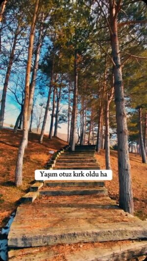 Turgay Başyayla Instagram - 