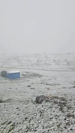 Turgay Başyayla Instagram - KIRKPINAR YAYLASI KAR YAĞIŞI ❄️ 

Akşam saatlerine başlayan kar yağışı halen devam ediyor.