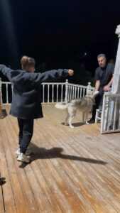 Actor Turgay Başyayla HD Instagram Photos and Wallpapers May 2024
