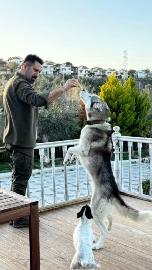 Turgay Başyayla Instagram - #bozo & #lili