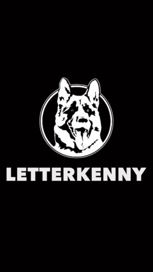 Tyler Johnston Instagram - New season of Letterkenny! 

Dec 25th on @cravecanada 🇨🇦
Dec 26th on @hulu 🇺🇸
