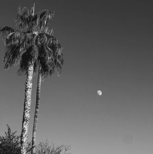 Tyler Lawrence Gray Instagram - Reflecting
