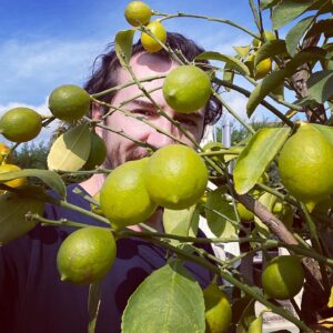 Uğur Arslan Instagram - Çaya çorbaya limoooonnn :))
Türkiye’nin en iyi limonu nerede yetişir???