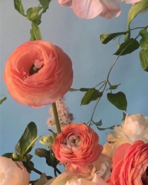 Uki Satake Instagram - 💐