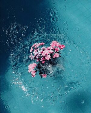 Uki Satake Instagram - 🥀
