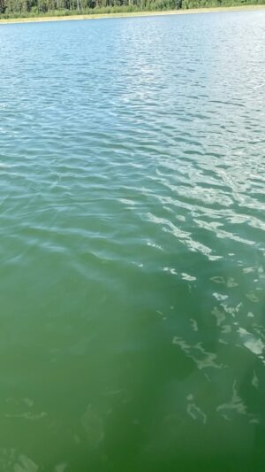 Ulrike Folkerts Instagram - #wasser #ferien #liebezumleben #klimaschützen #befriends #withnature #meinelementistwasser und #schauspiel