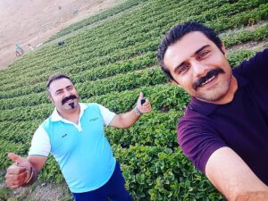 Vahid Rahbani Instagram - .
.
.
.
همراه اقبال درجه‌یک
#مزرعه_توت_فرنگی 
#vahidrahbani 
#وحیدرهبانی