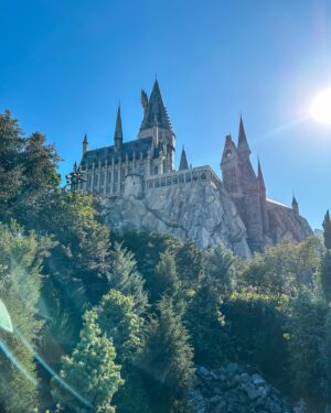 Valentin Rahmel Instagram - Harry Potter in Florida? Im Universal Orlando Resort gibt es eine komplette Zaubererwelt und sogar ein kleines Springfield. Auf unserem Wohnmobil-Roadtrip durch den US-Bundesstaat entdecken wir allerdings noch viel mehr: Die Metropole Vice City… ähm… Miami, die einzigartigen Everglades inklusive Alligatoren und die Trauminseln der Keys. Einen Raketenstart im Kennedy Space Center und das Ultra Miami Festival lassen wir uns auch nicht entgehen. Den Film dazu könnt ihr euch ab sofort bei ARD Reisen anschauen.