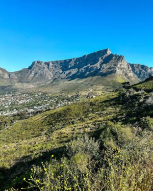 Valentin Rahmel Instagram - Kapstadt, Safaris und die legendäre Garden Route. Wir waren wieder unterwegs und haben Südafrika mit dem Auto entdeckt. Dabei ist ein cooler Film für WDR Reisen entstanden. Euch erwarten unglaubliche Landschaften, nette Menschen und jede Menge Wilde Tiere.