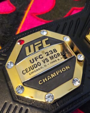 Valentina Shevchenko Instagram - 👊🏆👊

7 title defense,  7 amazing events alongside the best #UFC mma fighters of the world 💪

Thank you @ufc, 
Now all my belts with me !!! 💪💪💪

Каждый турнир где я защитила свой чемпионский титул ! 
7 поясов теперь дома ! 💪

👊👊👊

#TeamBullet #UFC #Champion #AndNew #TheBullet #TUF32