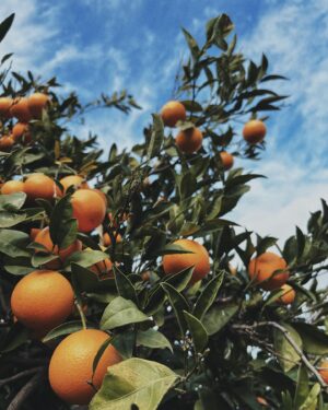 Vanda Chaloupková Instagram - SICILY 1/2 🧡