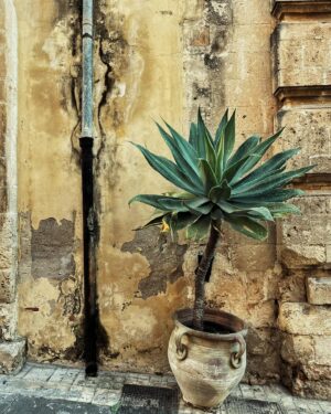 Vanda Chaloupková Instagram - SICILY 2/2 🧡