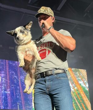 Vanessa Giselle Instagram - “I’ve felt that bible belt and I know what soap tastes like. I’ve done my share of wrong, but I was raised up right”

Iowa summer🌽✨

This was my mamas jean shirt when she was younger💛

#rileygreen #rileyduckman #johndaly @carlthecowboycorgi