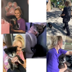 Vanessa Giselle Instagram - Yesterday I lost my best friend of 19 years.💔 

Puddles. She was my road dog. Not only because she traveled across the entire U.S. with me multiple times, but because she was by my side for over half of my life. I was a teenager when I got her. I worked at a Payless in Iowa and saw her in a newspaper ad…and so it began. 

There are soooo, so, sooo many words I want to say; but no words at the same time. My heart is absolutely shattered into a billion pieces, and it hasn’t even fully hit me that she is no longer in my life; that she is no longer in this world. I can’t even fathom it. 

But I am so, so, so beyond grateful for all the smiles and laughs she gave me every single day for almost 20 years. She brought so much joy to thousands of people. Every single time we went outside…adults and their kids’ eyes would light up, they’d ask to pet her, they’d take pics with her. I wasn’t the only person who couldn’t get enough of her.

My black licorice gummy bear, Hootie, Gunther, Marcia, Marcy the marsupial, my little Junior Mint, Judy, Puddy Buddy, my lil wolf girl… I had a million more names for her…

Now she’s my angel.

Her last meal was a happy meal…literally. A burger with ice cream instead of a drink. Two of her favorite things.

I love and miss you, my sweet bb bear. Forever and always. RIP. 

…Until we meet again...👩🏻🐻🪽✨💛