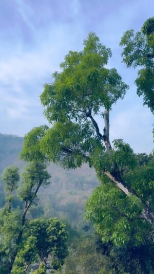 Vasanth Ravi Instagram - “NATURE” is the purest portal to inner peace, surround yourself with it and you will be at “PEACE”
#naturelovers #peace #peacewithin #naturegram