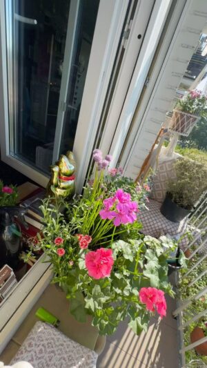 Vera Kincheva Instagram - 🩷
Morning song