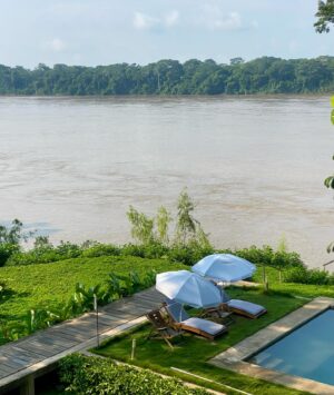 Vera Moura Instagram - As manhãs mais maravilhosas foram aqui ✨

@hotelenai 

#travel #peru #amazon 
#backpacking