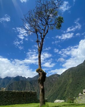 Vera Moura Instagram - Agora sim: Machu Picchu ou “Montanha Velha” ✨