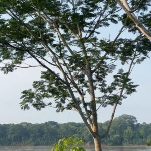 Vera Moura Instagram - As manhãs mais maravilhosas foram aqui ✨

@hotelenai 

#travel #peru #amazon 
#backpacking