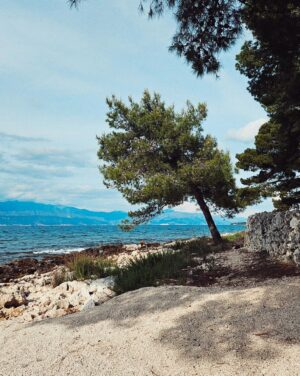 Verena Altenberger Instagram - carousel; Brač edition