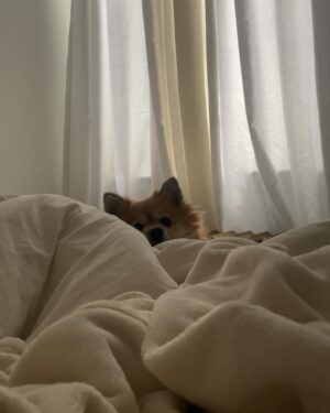 Véroniqua Instagram - Lately
