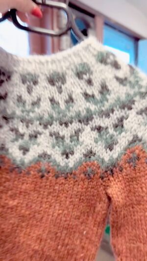 Vickie Howell Instagram - They sell beautiful, handknit sweaters at gas stations ⛽️ in Iceland! 🧶😍🥶
